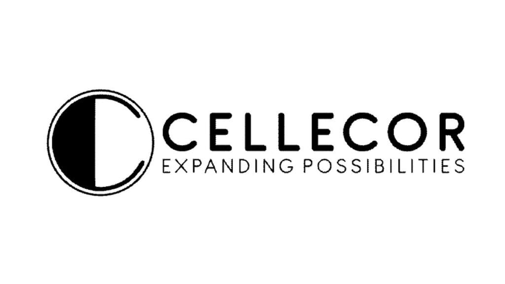 Cellecor Gadgets Limited