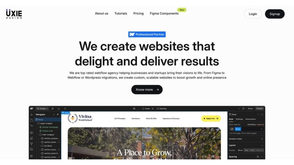 Webflow-Development-Agency